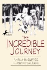 The Incredible Journey- A Tale of Three Animals by Sheila Burnford